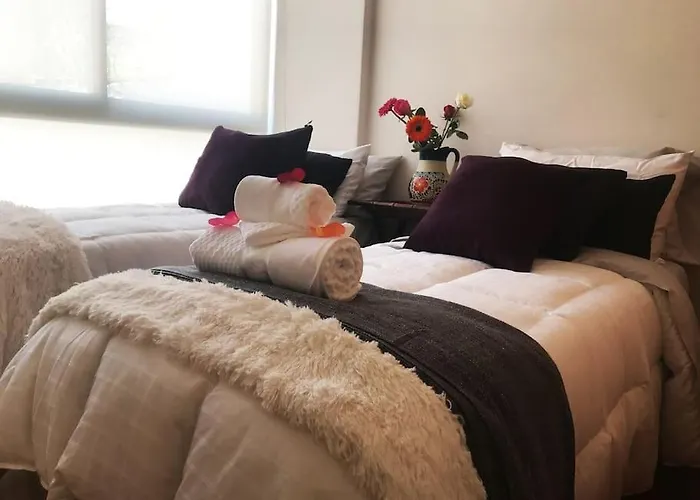 Apartment Cerca De Hospital Infantil Wtc Centrico Y Seguro!